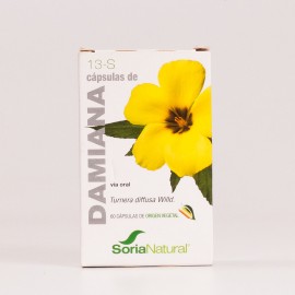 Damiana 13s Soria Natural